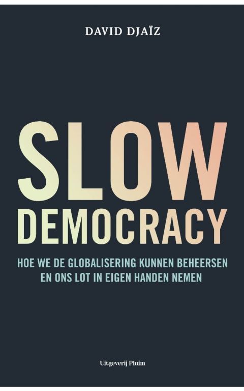 Slow democracy